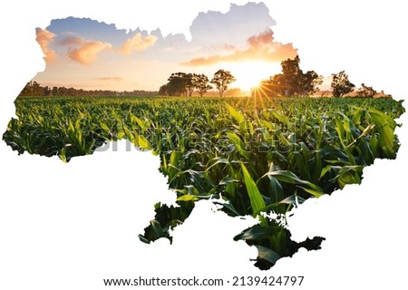 Conceptual image of Ukraine's map, global food crisis caused by Russia's invasion Royalty-Free Stock Photo #2139424797
