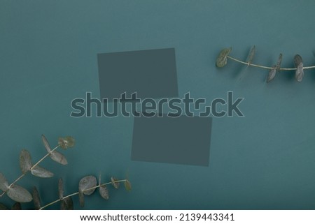 Blank business cards mockup on green background with eucalyptus branches top view