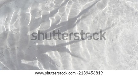 Defocused transparent clear calm water surface with splash, bubbles and shadow of a plant. Trendy abstract nature background with copy space.