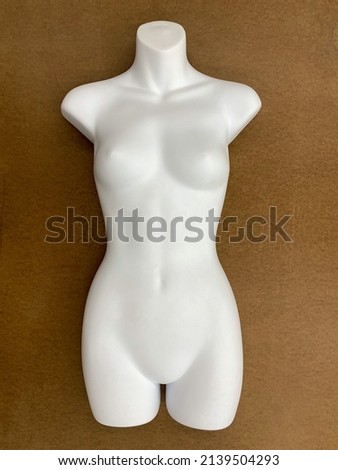Mannequin for female underwear. Mannequin for fashion store. Figure of a female body for clothes. Torso. Without head and limbs. Royalty-Free Stock Photo #2139504293