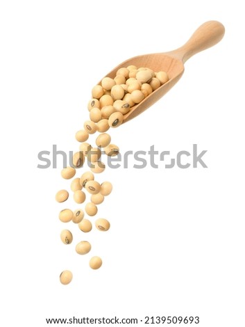 Pouring Soybeans from wooden spoon isolated on white background. Royalty-Free Stock Photo #2139509693