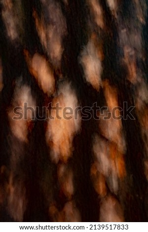 abstract motion blur backdrop background wallpaper of tree bark  rust colored rich colors dripping paint on black special effect created by intentional camera movement and long time exposure