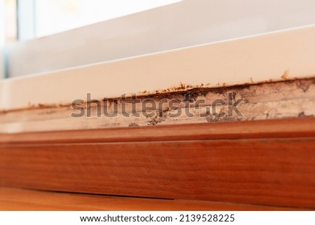 Rust and mildew on a wall above the wood baseboard and down the metal frame of a floor height window in natural ambient daylight in a indoor room. Royalty-Free Stock Photo #2139528225