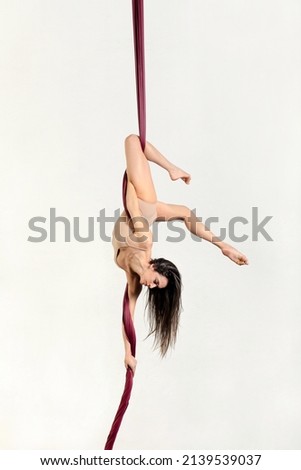 Slim female aerialist performing falling stunt on aerial ribbons while hanging upside down on white wall background