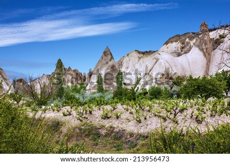 Vineyard landscape, Cappadocia, Turkey