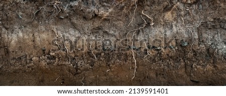 Underground earth texture, cross section of soil layers panorama Royalty-Free Stock Photo #2139591401