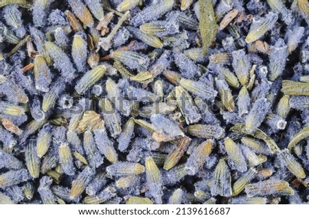 The dried lavender flower textured as background.