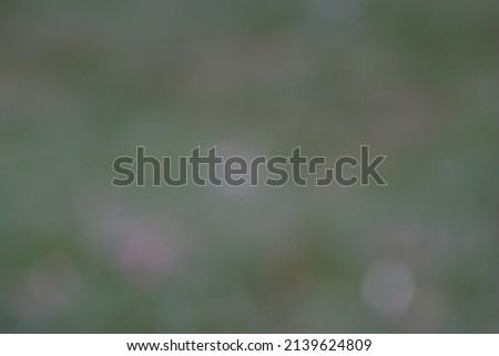 Blurred picture for background abstract.A modern and blank template for a document or advertizing.