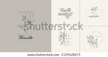 Vanilla pods flowers floral logo collection. Hand drawn line herb, elegant leaves for invitation save the date card. Botanical rustic trendy greenery vector Royalty-Free Stock Photo #2139628671
