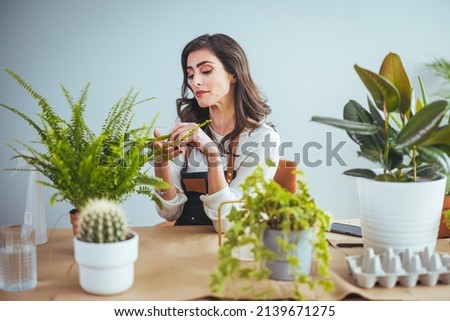 Woman With Green Plants and Flowers at home. Woman Caring for House Plant. Woman Taking Care of Plants at Her Home Portrait of Woman Gardening at Home. Female Care for Her Plant