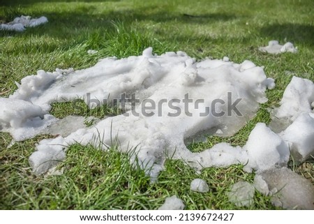 Melting snow in nature on green grass