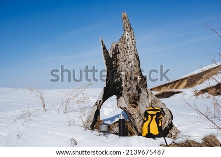 Hiking gear lies in the snow near an old tree. Remains of a log after a lightning strike, yellow backpack, thermos with tea, tourist utensils. High quality photo