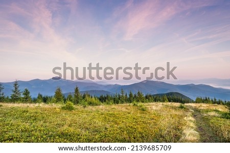 Panorama morning view of the Carpathian mountains. Morning on the Montenegrin ridge, Transcarpathia, Ukraine, Europe. Beauty of nature, background concept