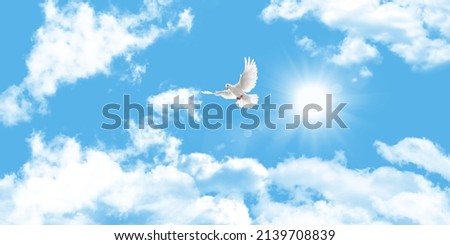 Blue sky with fluffy white clouds. white dove flying through the clouds.