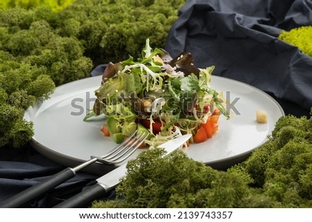 Vegetable salad. Food photography, dark background