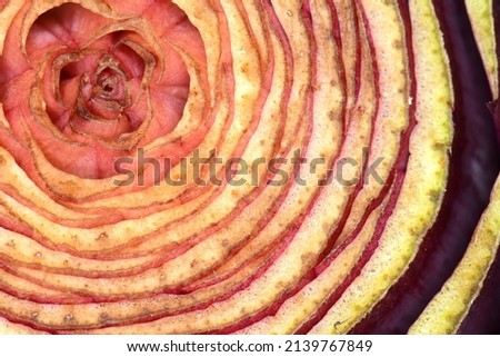 Macro Artichoke flower edible bud cross cut section. Close-up picture of artichoke core.