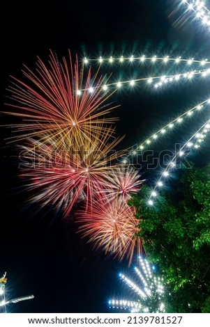 fireworks celebration in the dark sky