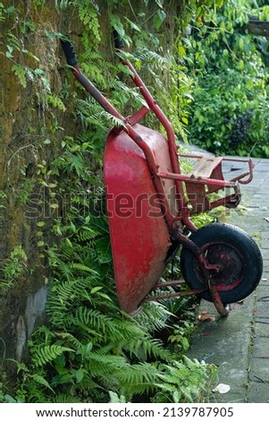 Vintage red wheel barrel leaning upright against plant covered stone wall