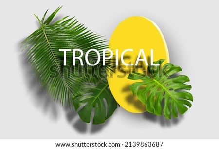 Summer with Tropical tree and shadow of vector