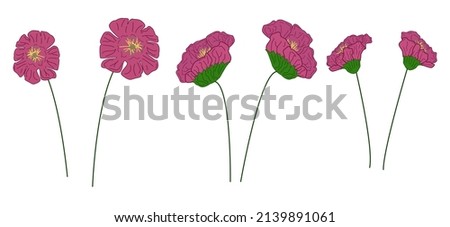 Vector sketch drawing of flowers. Drawing of poppies, gerberas, rose hips.