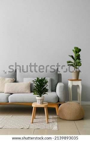 Interior of modern living room with stylish sofa and houseplants Royalty-Free Stock Photo #2139893035