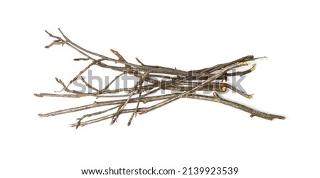 Branches pile isolated. Dry twigs pile ready for campfire, sticks, boughs heap for a fire, dry thin branches, brushwood Royalty-Free Stock Photo #2139923539