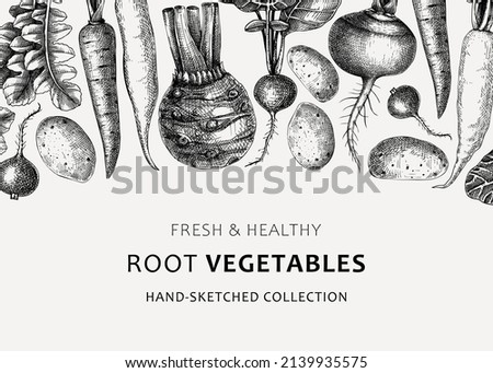 Fresh root vegetables background. Root plants sketches design. Garden vegetable vector banner. Hand-sketched beet, radish, daikon, celery, turnip illustration. For menu, recipe, packaging, markets Royalty-Free Stock Photo #2139935575