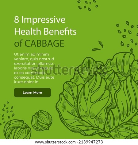 Health benefits of cabbage, nutrition facts and dieting. Balance and nutrition, supplement and nourishment with antioxidants. Website or web shop or blog, landing page template, vector in flat