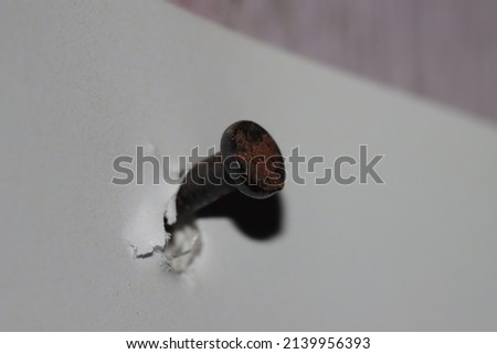 A nail on the wall for hanging pictures