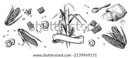 Hand drawing corn.Great for menus, packaging and stickers. Bag of corn grits. Groats on a wooden spoon. Corn plant and ribbon. Royalty-Free Stock Photo #2139969151