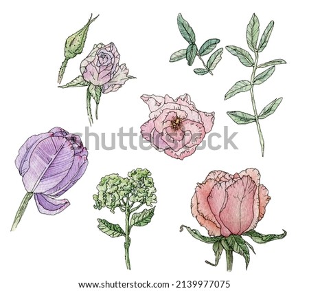 Watercolor set with individual illustration elements of pastelpink flowers in a sketch way with liner on a white background. Flower composition for wedding, birthday cards, decoration and other design