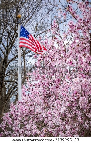 American flag flies in the air surrounded by pink magnolia bloss