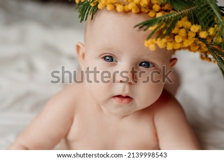 closeup portrait of a newborn baby lying on a white bed with a sprig of mimosa. happy carefree infancy. products for children, natural materials. space for text. High quality photo Royalty-Free Stock Photo #2139998543