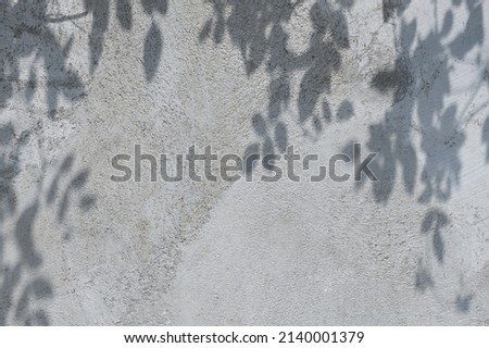 leaf shadow on cement wall