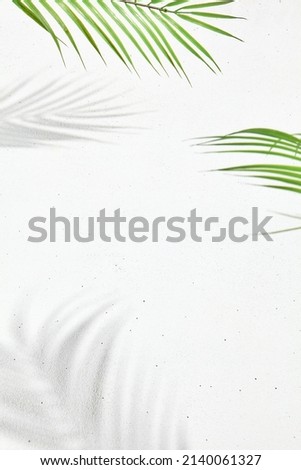White background with palm leaf and shadow of palm leaf. Minimal abstract composition - concrete wall and hard shadow of the palm and monstera leaf. Elegant poster of natural elements and shadow
