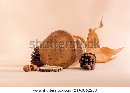 Set of wooden podiums, decor  and autumn leaves against beige background. Fall Seasonal Background  Royalty-Free Stock Photo #2140062253