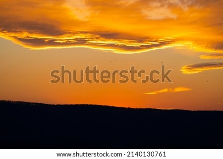Vibrant and Colorful Sunset background with flying birds. 