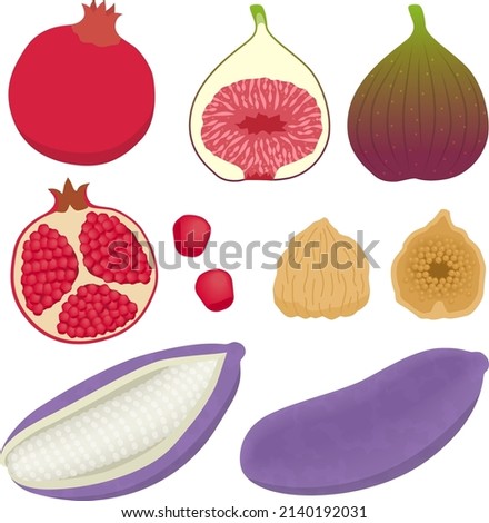 Illustration of akebi, pomegranate, fig Royalty-Free Stock Photo #2140192031