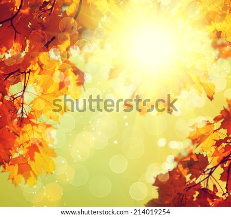 Autumn. Blurred Fall Abstract autumnal background with colorful leaves and sun. 