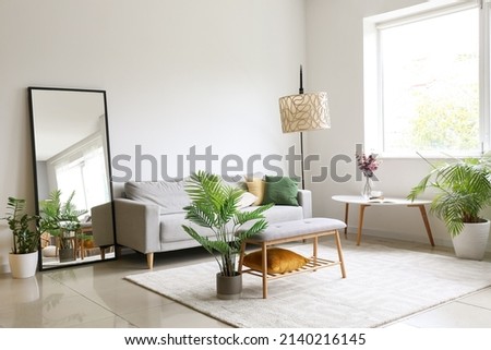 Interior of light living room with comfortable sofa, houseplants and mirror near light wall Royalty-Free Stock Photo #2140216145