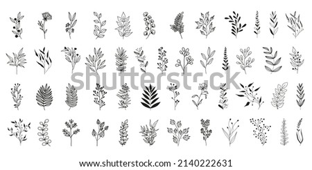 Set of black silhouettes of tropical leaves on an isolated white background. Botanical tree branches, palm leaf on the stem. Spring summer leaf. Concept design logo icons. Vector illustration. Royalty-Free Stock Photo #2140222631