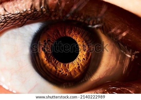 contrasty macro photo of a brown eye Royalty-Free Stock Photo #2140222989