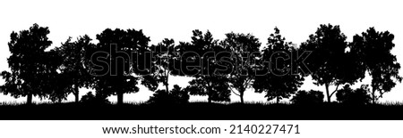 Decidious woodland, silhouette of beautiful trees and bushes. Vector illustration