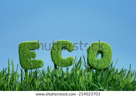 word of eco on grass under blue sky