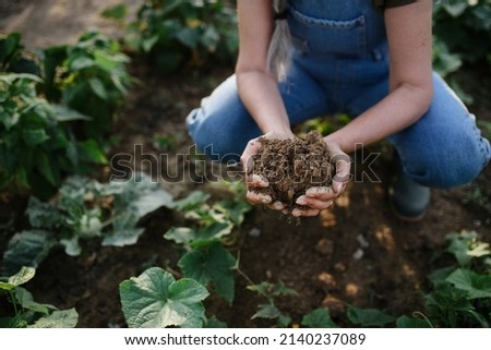 Close up of female famer hands holding soil outdoors at community farm. Royalty-Free Stock Photo #2140237089