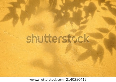 Shadow of leaves on yellow concrete wall texture with roughness and irregularities. Abstract trendy colored nature concept background. Copy space for text overlay, poster mockup flat lay  Royalty-Free Stock Photo #2140250413