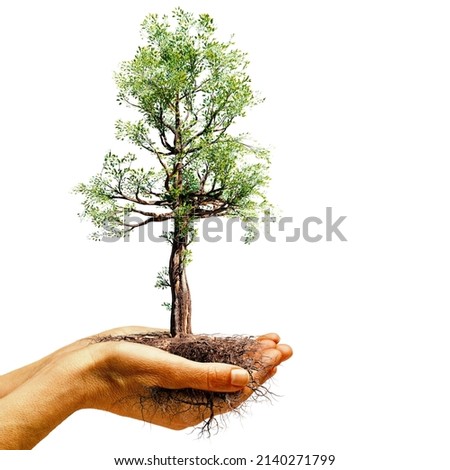 Conceptual macro close up of hands holding tree with roots isolated on white background. Royalty-Free Stock Photo #2140271799