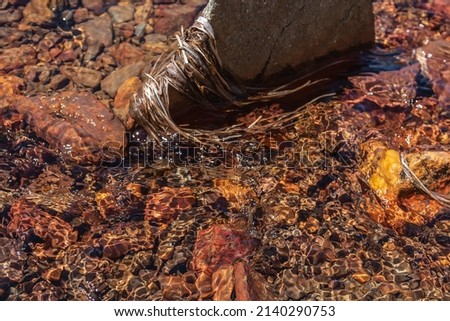 Nature background of clear water stream with motley stony bottom in sunlight. Colorful mountain stream texture with mineral water in bright sun. Pattern of sunlit multicolor stones in spring water.