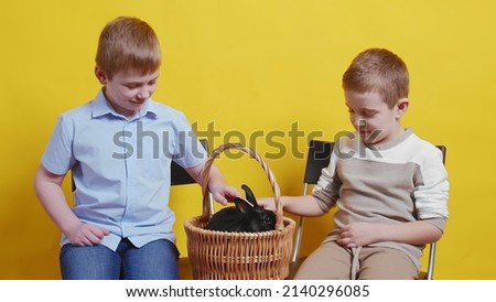 Two boys are sitting on a yellow background and stroking a black rabbit sitting in a basket. Easter