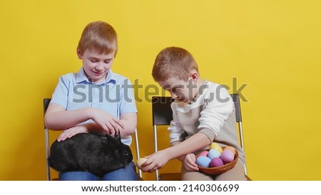Two boys are sitting on a yellow background. One boy holds a black rabbit on his lap, and the second boy shows the rabbit colorful Easter eggs. Easter